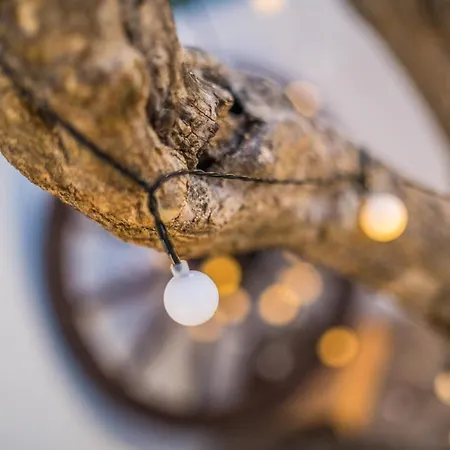 Barbara Lejlighed Tribalj