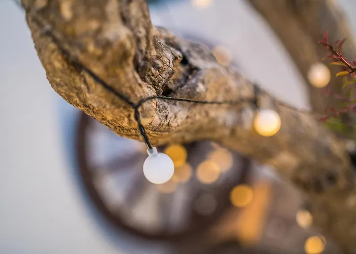 Barbara דירה Tribalj